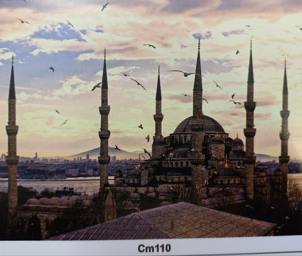 photo_۲۰۲۵-۰۲-۲۶_۱۶-۰۹-۴۹ پوستر کاغذدیواری - Image 1